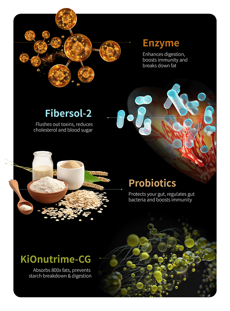 Fittus Ingredients