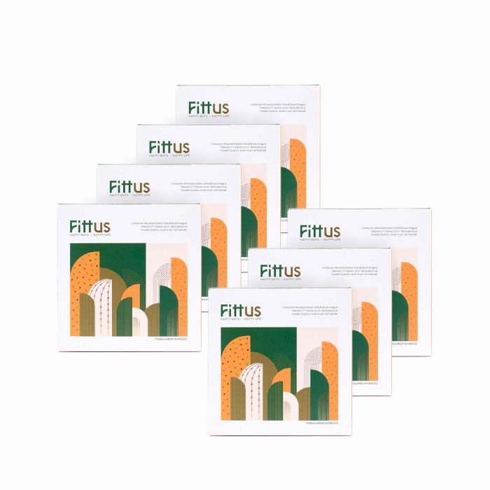 Fittus Value Combo 7 Boxes