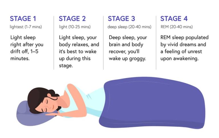 4 stage of sleep