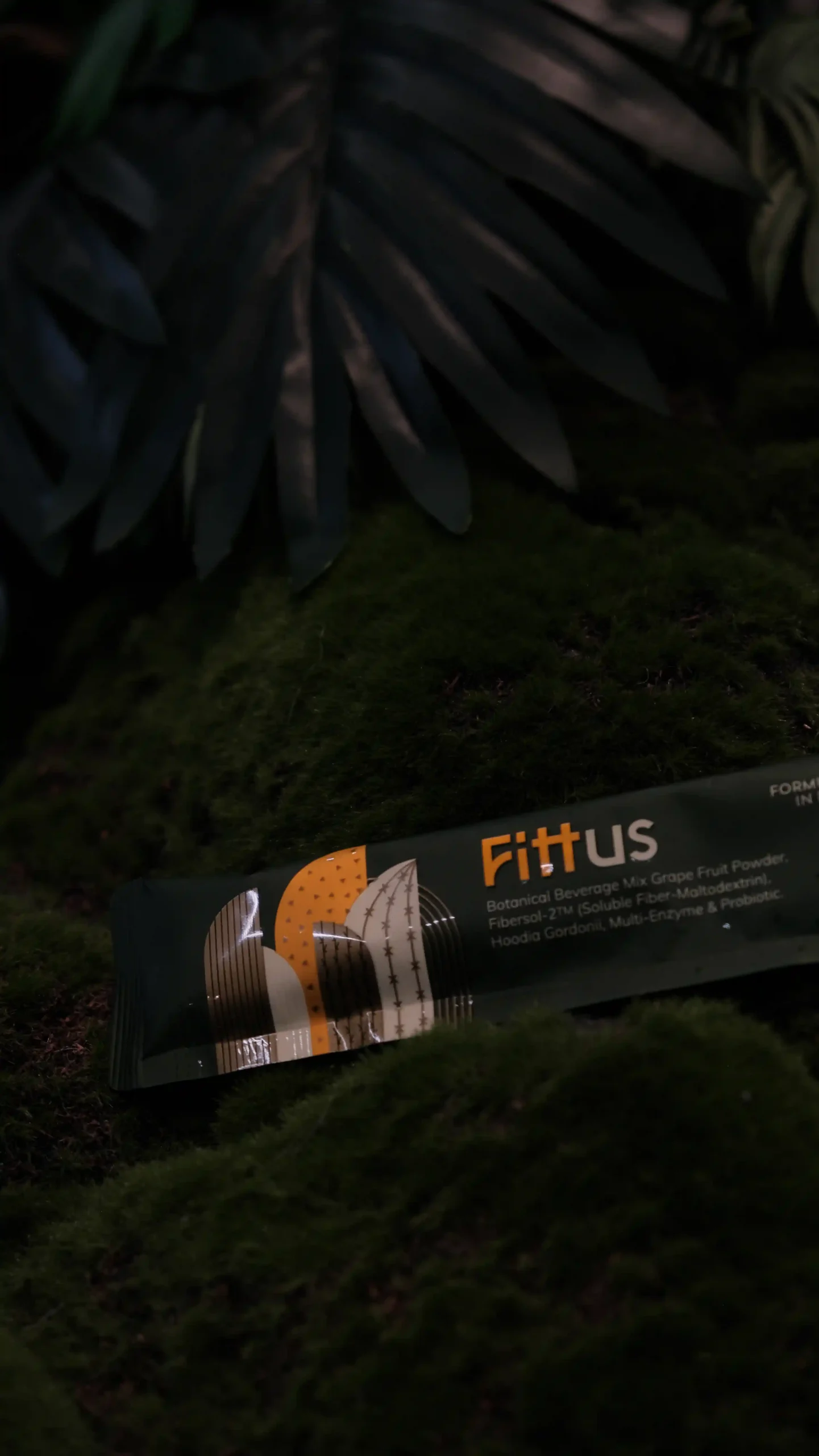 Fittus_Gallery_21