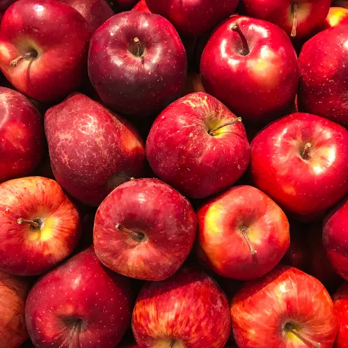Apple Fibre